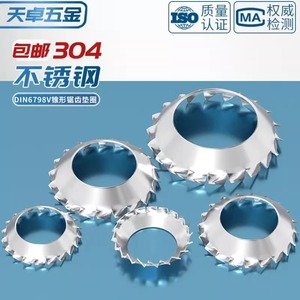 Tianzhuo Hardware 304 Stainless Steel Conical Toothed Locking Washer M3 M4 M5 M6 M8 M10 External Toothed Funnel Type - Product Image 3