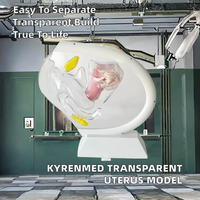 Modelo de Sistema Reproductivo Femenino Transparente de PVC KyrenMed KR-077, Modelo Anatómico Pélvico con Útero Desmontable, Copa Menstrual
