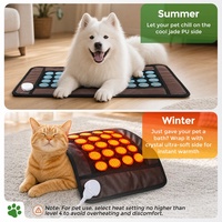 Coussin chauffant double face intelligent avec minuterie, en pierre de jade, pour thérapie thermique, électrique, pour animaux de compagnie (chiens, chats), ventre, épaules, dos, hanches