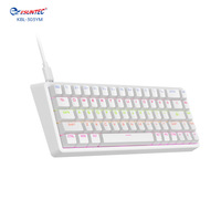 Clavier mécanique de jeu ergonomique filaire KBL-303YM, 68 touches, mini rétroéclairage LED, anti-ghosting 26 touches, panneau unique