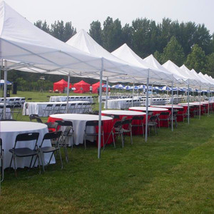 Tenda Moderna Personalizzata 3x3M 10x10ft Facile da Montare per Eventi, Spiaggia, Auto, Fiere, Pubblicità, Promozioni, Pieghevole per Esterni - Product Image 5