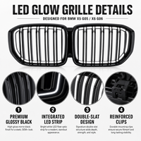 Calandre avant lumineuse à LED style Iconic Glow pour BMW G05 G06 2020+ finition miroir double lamelles B2B