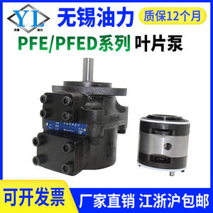 Pompe à palettes de type Atos Yuci PFED-541295411054090/045/070/056 Pompe hydraulique État neuf - Product Image 4