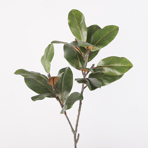 Hojas de Magnolia Artificiales de Plástico Verde de Alta Simulación con 2 Ramificaciones para Decoración de Bodas y Hogar - Product Image 1