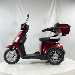 Electric <strong>Tricycle</strong> for Adults 3 Wheel Cargo Trike with Large Rear Basket Passenger Electric <strong>Bike</strong> for <strong>Seniors</strong> Daily Commuting - Product Image 2