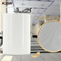 5 "haut-parleur directionnel projecteur haut-parleur haut-parleurs sonores au plafond système de sonorisation Audio encastré pour le théâtre de centre commercial à domicile