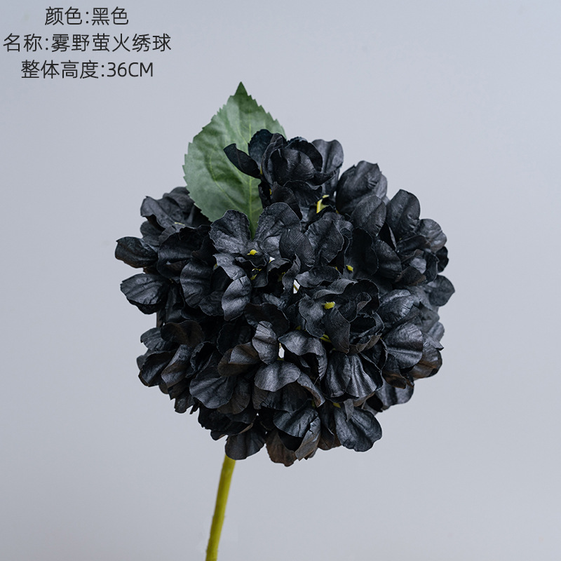 Noir