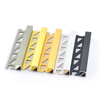 Profilé décoratif en aluminium pour carrelage, finition brossée or, noir, argent, pour sol et mur avec trou de fixation