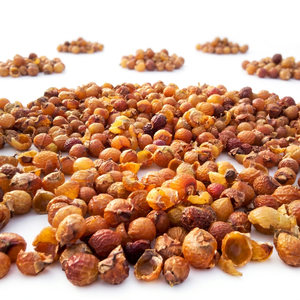 Ingrédients à base de plantes Lave-vaisselle à noix liquide pure et naturelle d'Inde - Product Image 1