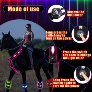 Set de Accesorios Luminosos para Caballos, Collar y Banda LED para Patas de Caballo, Recargable por USB, Seguridad Ecuestre, Visibilidad Ajustable - Product Image 6