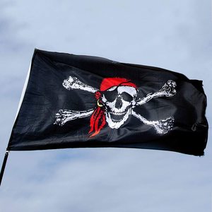 Jolly — drapeau de <span class=keywords><strong>Pirate</strong></span> <span class=keywords><strong>Pirate</strong></span>, vente en gros, 100% Polyester, taille personnalisée - Product Image 3