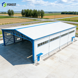 Hangar de Aviones Profesional de Acero, 20x30x10, Excelente, Versátil, Funcional, Estándar, Grande, de Aleación - Product Image 1