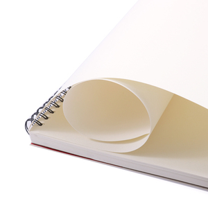 Foska A3 Và A4 Kích Thước 50 Sheets 150Gsm Không-Faded Top Xoắn Ốc Giới hạn Nghệ Thuật Phác Thảo Pad Cho Vẽ Minh hoạ Nghệ Thuật Lớp Học Sinh Viên - Product Image 4