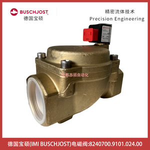 Vanne solénoïde Buschjost 2 pouces DC 24V pour le contrôle des fluides - Product Image 2