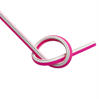 Tube lumineux néon LED en silicone flexible 6mm 8mm 12mm pour la décoration de panneaux néon