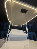 Bateau Catamaran à Double Coque en FRP de 6,8 m (22 pieds), Bateau de Pêche en Eau Salée avec Console Centrale, Fournisseur OEM d'Usine