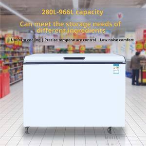 Congélateur Commercial Compact, Réfrigérateur-Congélateur Double Usage, Congélateur à Choc Rapide, Réfrigérateur - Product Image 3