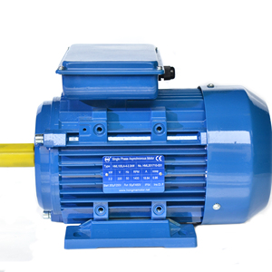 มอเตอร์เหนี่ยวนำไฟฟ้ากระแสสลับเฟสเดียว 220V แบบคาปาซิเตอร์คู่ 3 กิโลวัตต์ 50/60 เฮิรตซ์ แบบติดตั้งบนฐาน พร้อมราคาที่ดีที่สุด - Product Image 1