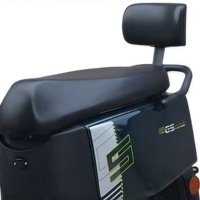 Moto Électrique Haute Puissance 800W, Moteur Brushless, Batterie 60V 20A, pour Adultes, Commutation Urbaine