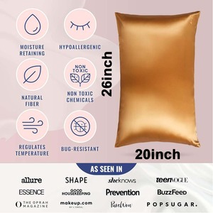 <span class=keywords><strong>Federa</strong></span> per <span class=keywords><strong>Cuscino</strong></span> con Logo Personalizzato, Antistatica, 100% Seta di Gelso, Stile Euro-Americano, <span class=keywords><strong>Federa</strong></span> in Raso di Seta per Letto - Product Image 2