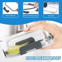 Contenants de stockage alimentaire en verre borosilicate avec couvercles, lot de 10, contenants de préparation de repas en verre hermétiques, réutilisables, empilables, sans BPA