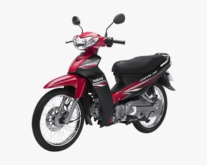 Motocicleta Vietnamita de Largo Alcance (100-150 km) para Adultos - Product Image 2