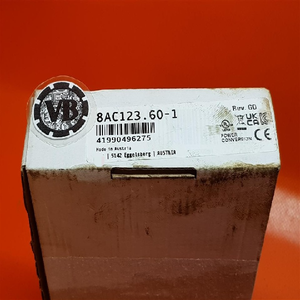 Новый оригинальный программируемый контроллер PLC Waehouse Band 8AC123.60-1 / *ev: G0 Plug-in Module - Product Image 1