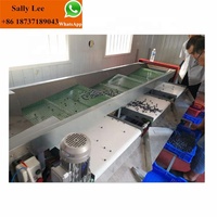 Commerciële Fruit Verwerking Avocado Ui Size Grading Sorteren Machine Tomaat Sorteren Machine
