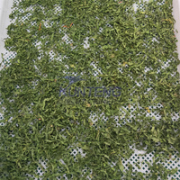 Déshydrateur de nourriture de grande capacité Machine séchoir industriel laitue échalote feuille d'épinard usine de séchage de légumes