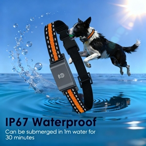 Collier GPS miniature et léger pour <span class=keywords><strong>chien</strong></span> avec charge rapide USB, traceur d'animaux pour chiens de petite race - Product Image 6