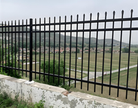 Panneaux de clôture en acier galvanisé lisse à pointe de lance, style fer forgé noir, pour aménagement paysager de maison de banlieue