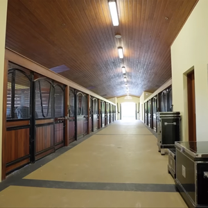 奇千制造竹制填充马厩，采用镀锌钢框架，永久性预制欧式马厩 - Product Image 6