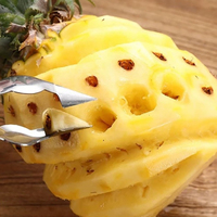 Ensemble d'outils de gros pour éplucher les ananas, couteau à fruits en acier inoxydable, éplucheur de canne à sucre, nettoyeur de pousses de pommes de terre avec manche en bois