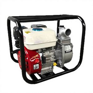 Pompe à eau agricole à essence WP20 6,5 CV 2 pouces pour l'irrigation, fournie directement par l'usine - Product Image 1