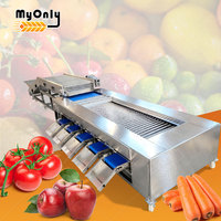 Mijn oranje tomaten fruit- en groente-rolsorteermachine voor meloenen, citrusvruchten en noten met 304 roestvrij staal