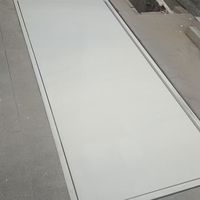 Porte escamotable dissimulée pour sous-sol, structure imperméable épaissie pour entrée d'escalier et de grenier