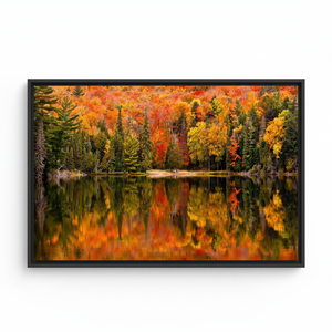 Autumn Forest Reflection: Printed Canvas Wall Art for Home Decor,<b>BLACK</b> <b>FRAMED</b> CANVAS - Product Image 2