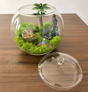 Barattolo moderno per terrario da 20cm con coperchio in vetro vaso decorativo da tavolo e urna per uso interno domestico - Product Image 5