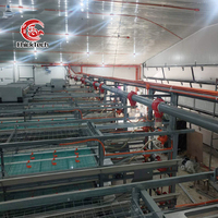 Cage à poulets de type H/A 5000 entièrement automatique pour l'élevage de volailles avec alimentation des poulets de chair