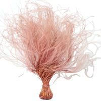 Plumes de perroquet séchées brésiliennes, fleurs préservées, autres fleurs et plantes décoratives, décoration de mariage, décoration intérieure