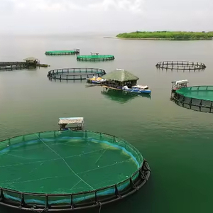 Chất lượng cao HDPE đôi ống vuông cá lồng cho cá rô phi nổi nuôi trồng thủy sản nuôi thiết bị - Product Image 1