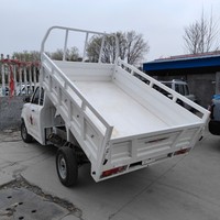 Camioneta de Carga y Pasajeros de Dos Puertas, Gran Capacidad, Alta Calidad, Alta Potencia, Venta de Fábrica, Personalizable, Descarga Totalmente Automática