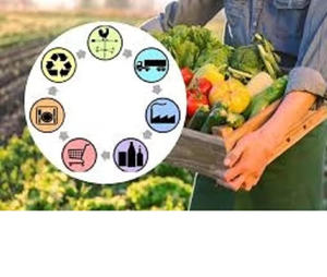 Las mejores aplicaciones personalizadas para equipos de tecnología alimentaria y suministros agrícolas, plataformas de comercio de productos agrícolas de campo a hogar, seguimiento de la cadena de suministro, comercio de granos/ganado - Product Image 2