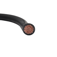 Câble de silicone de batterie robuste 50 mm 70 mm 95 Mm2 câble d'alimentation solaire câble d'alimentation Audio de voiture pour camion à énergie solaire automobile