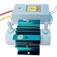 220V medizinische Ozon-Generator Quarz-Rohr-Kit 2 gr/std Luftkühlung Ozon-Rohr 1 Jahr Garantie