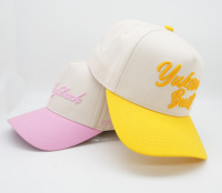 Logo personnalisé Conception Coton 3D Broderie 5 Panneau Snapback A Frame Cap New Blank Fit Mens Sports Baseball Hats Baseball Caps