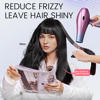 Moehair-Ensemble sèche-cheveux 5 en 1 violet, 1000W, moteur électrique DC, diffuseur et buse pour hôtel, usage domestique