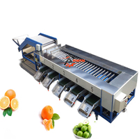 Automatische 304 roestvrijstalen fruit- en groentesorteermachine met capaciteit van 1200 kg/uur voor aardappelen ALLWIN AWFX-60