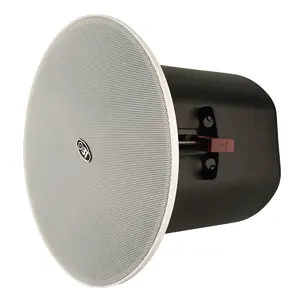 Gros moderne de haute qualité puissance 20W haut-parleur de toit plafond musique haut-parleurs matériau métallique plafond haut-parleur