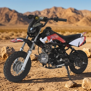 Oferta Especial: Moto de Cross de 110cc con Enfriamiento por Aire, a Gasolina, con Freno de Disco, Monocilíndrica 4T, Escape Doble Recto de 3L - Product Image 1